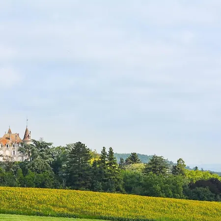 Chateau De Cadres