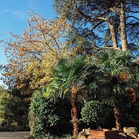 Hotel Chateau De Cadres Saint-Sylvestre-sur-Lot