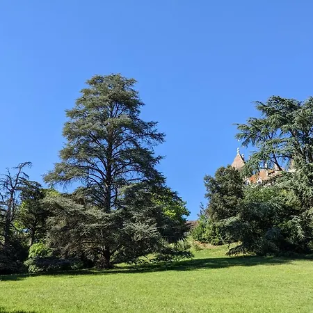 Chateau De Cadres Hotel *